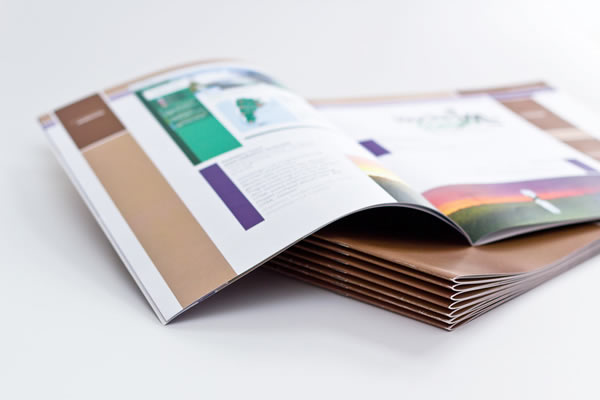 Richiesta Brochure